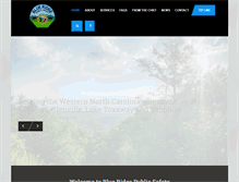 Tablet Screenshot of blueridgepublicsafety.com
